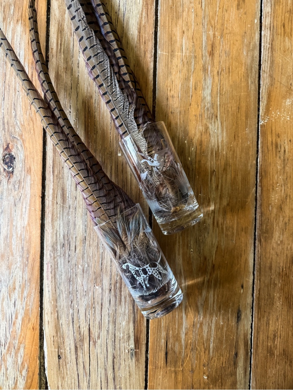 Etched Pointer & Duck Glasses